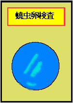 蟯虫卵検査用紙
